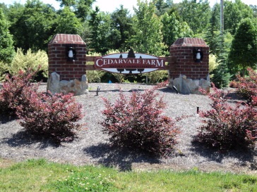 Cedarvale-Farm-Entrance-Monument
